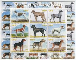 Block "Serbische Laufhund, Deutsch Drahthaar, Lurcher" Kongo