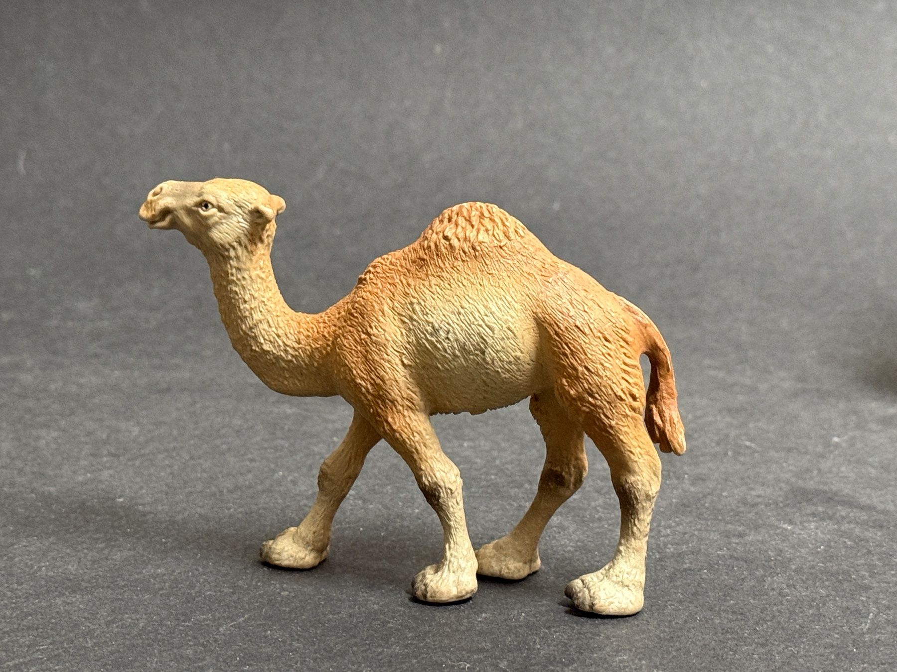 Schleich Statuette: Schleich Dromedar Stute Kamel – Usato da Ennetbaden venduto da mapa05 5