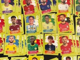 120 x Panini WM Bilder  2026 ab Fr- 1.--
