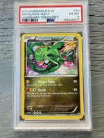 Carte Pokémon ENG Rayquaza 2013 B&W 93 Holo - PSA 6