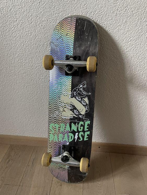 Skate Globe | Kaufen auf Ricardo