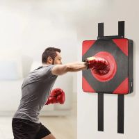🐭 NEU Wandboxsack für Kampfsport