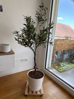 Künstlicher Olivenbaum ohneTopf ohne Rollen H 100cm