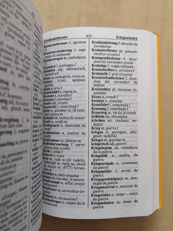 Libri: Langenscheidts Wörterbuch - Rätoromanisch – Usato da Zug venduto da Sunshine_113 1