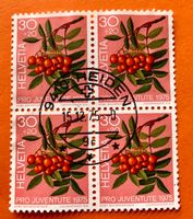 Nr.J 254 Pro Juventute GESTEMPELT Heiden 1975   