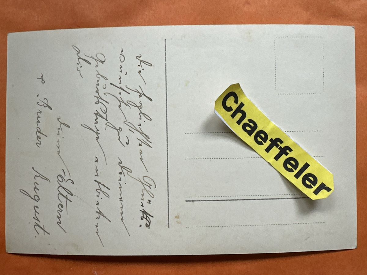 Cartoline postali: Alte Ansichtskarte, Kinder mit Katze und Blumenstrauss – Usato da Zürich venduto da Chaeffeler 1