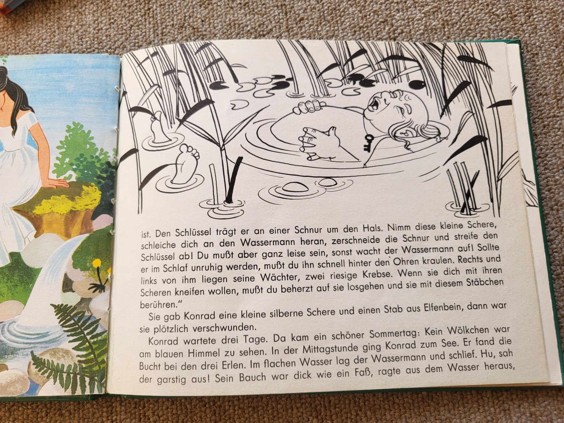 Libri: Wichtelapotheke Sammelband Kinderbuch – Usato da Uzwil venduto da mad_r6mv 3