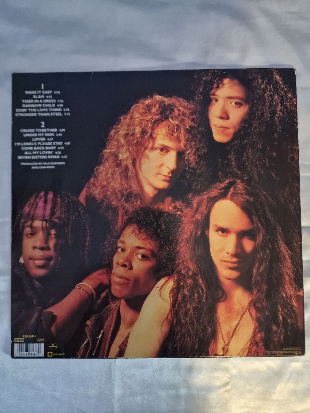 Dischi in vinile: Dan Reed Network - Slam – Usato da Pfaffnau venduto da gunport 6