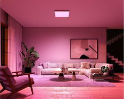 Philips Hue Surimu