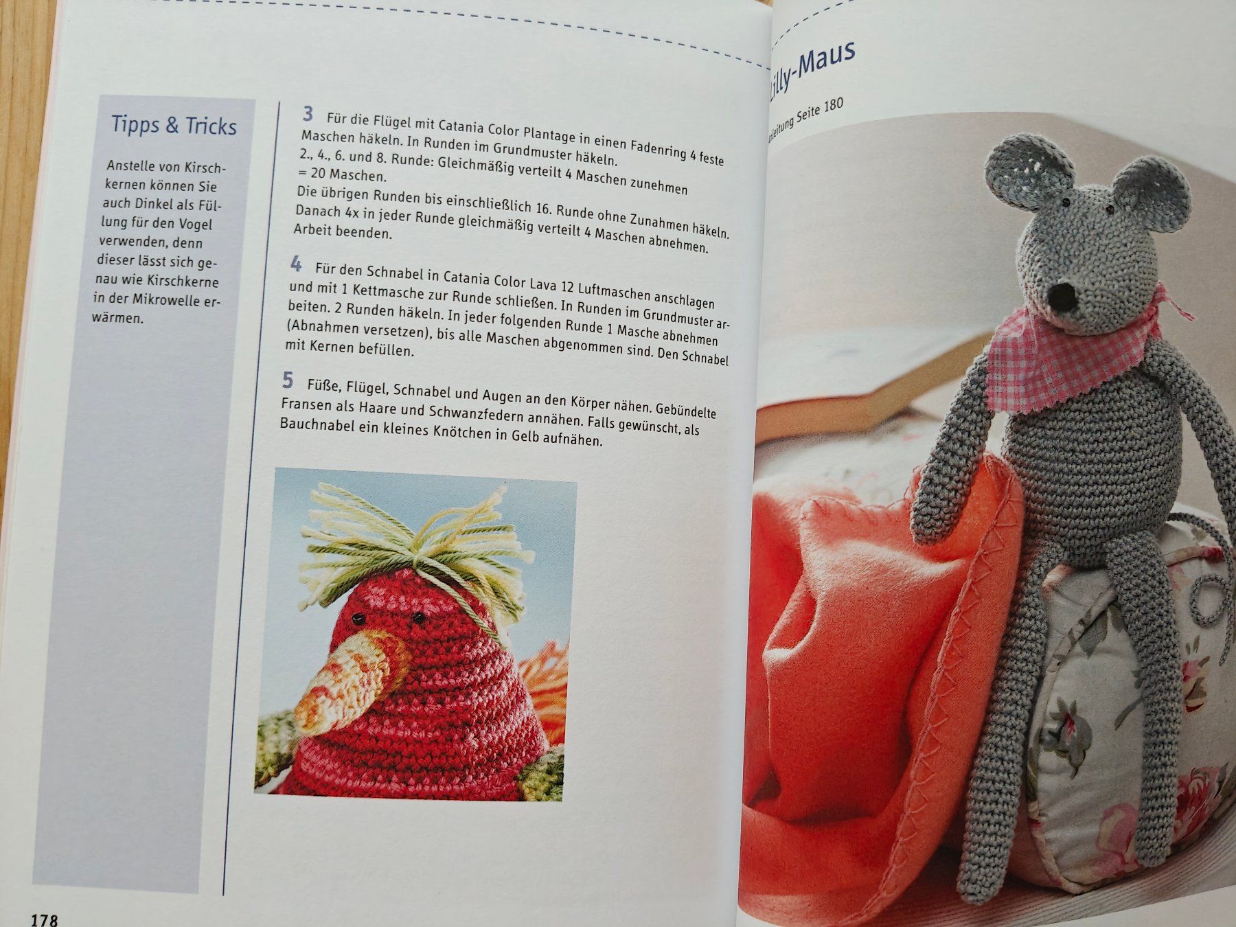 Libri: Häkeln / basiswissen Topp 2013 - das grosse Einsteigerbuch – Usato da Muttenz venduto da Negnuja 7