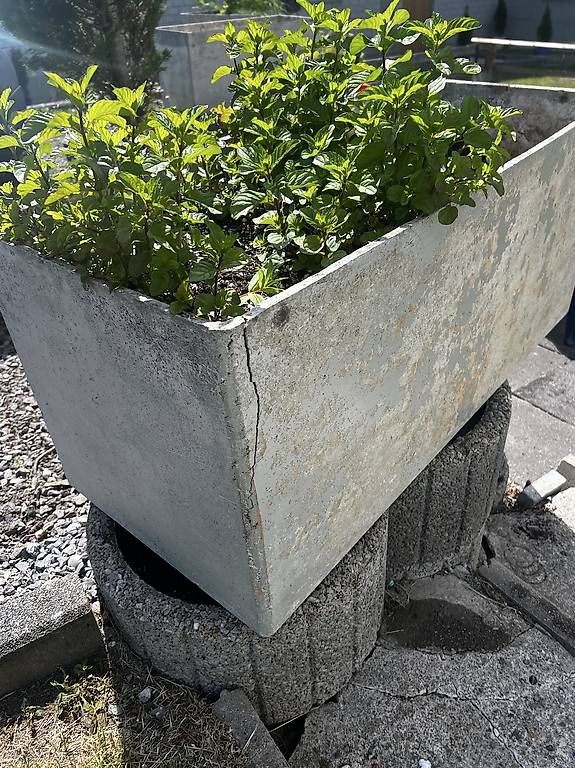 Blumentöpfe: Eternittopf 1m – Gebraucht aus Schönengrund von Oldbutgold93 2