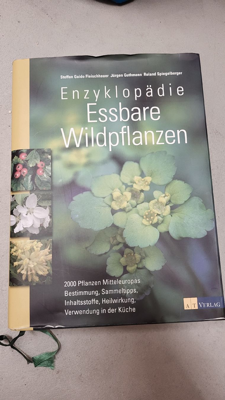 Libri: Meine wilde Pflanzenküche – Usato da zürich venduto da wuscheli0102