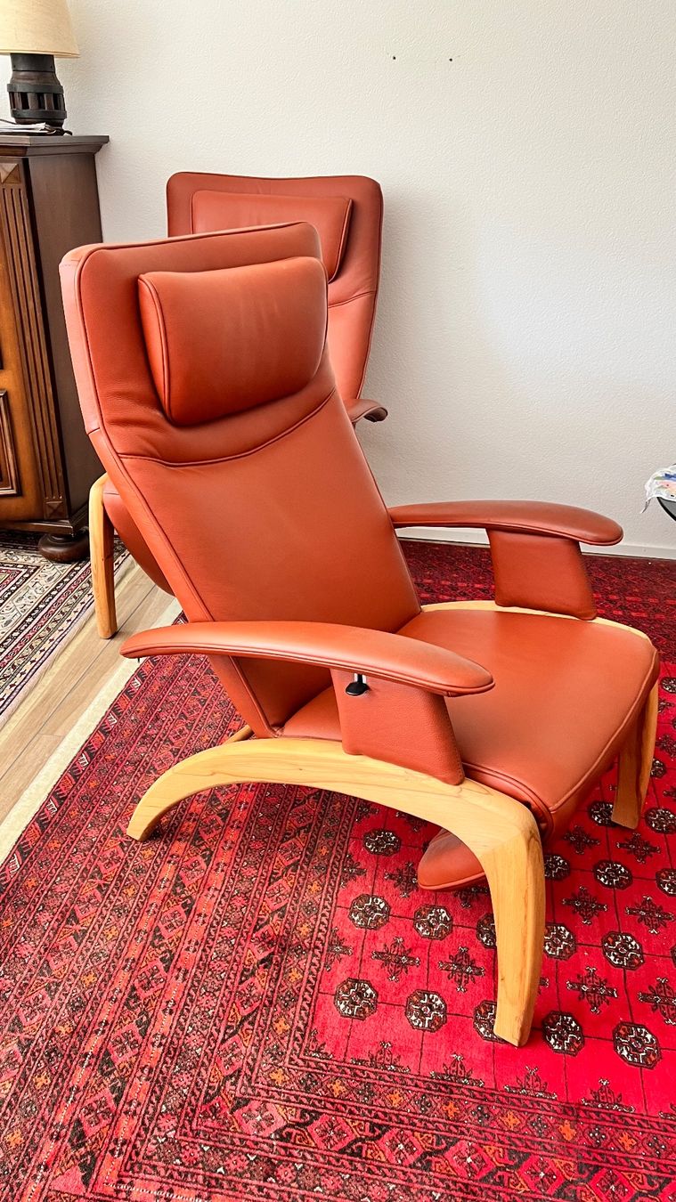 Sessel: Zwei Ledersessel – Gebraucht aus Gossau ZH von sruoss 1