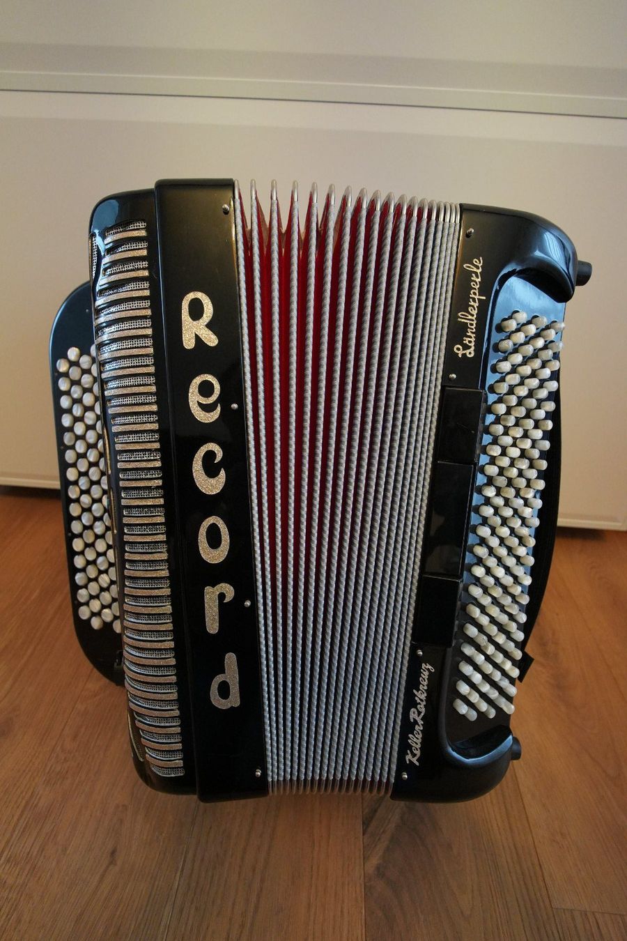 Record Strumenti musicali: Record Ländlerperle – Usato da Bilten venduto da Goertl