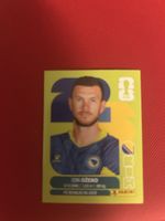 Panini FIFA World Cup 2022 Sticker Edin Dzeko BIH 18