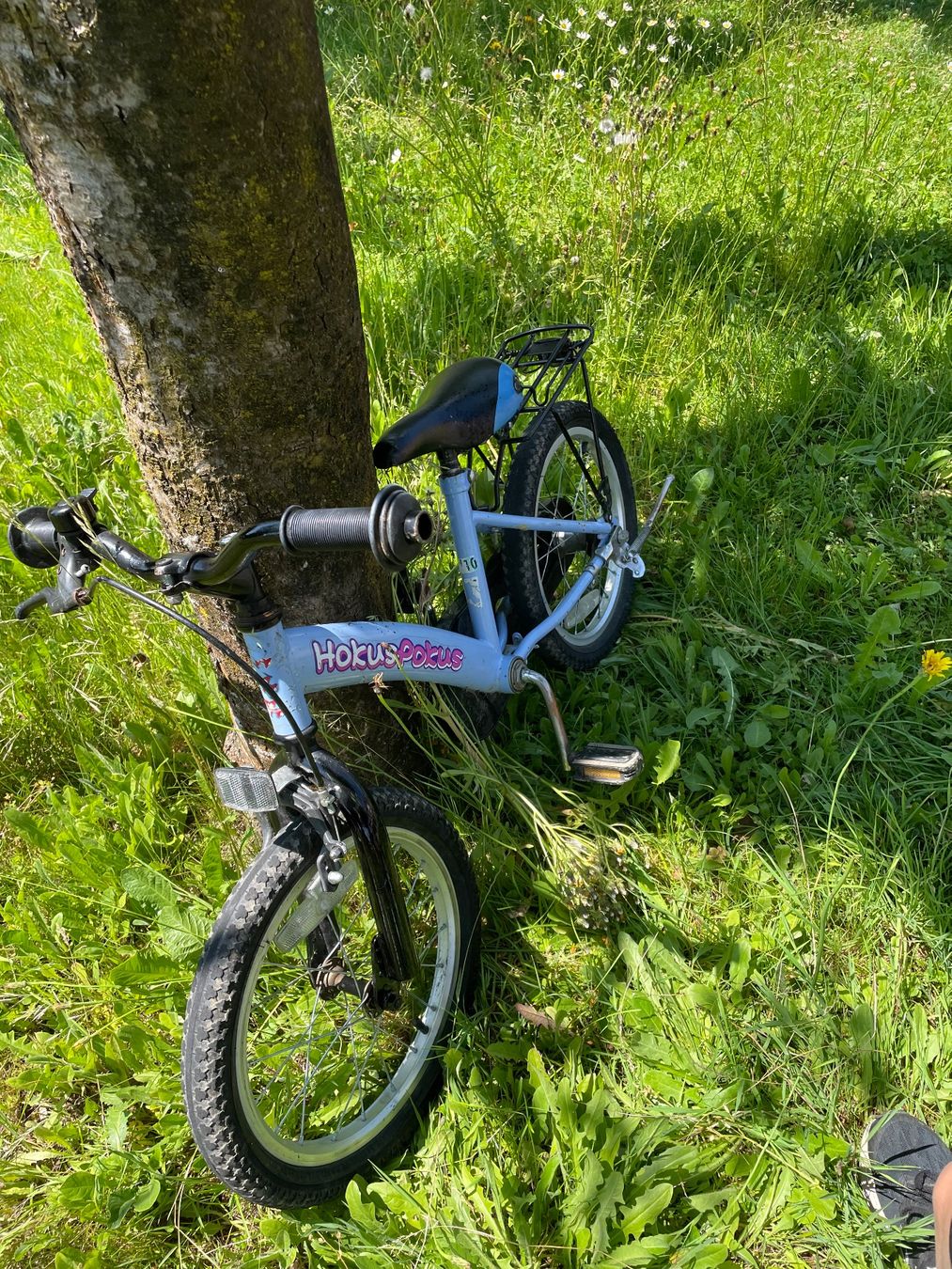 Velos: Kinderfahrrad Hokus Pokus hellblau – Gebraucht aus Kleinwangen von cwy_2l5p 2