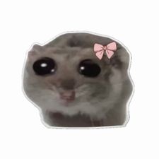 Profile image of meli.sbld