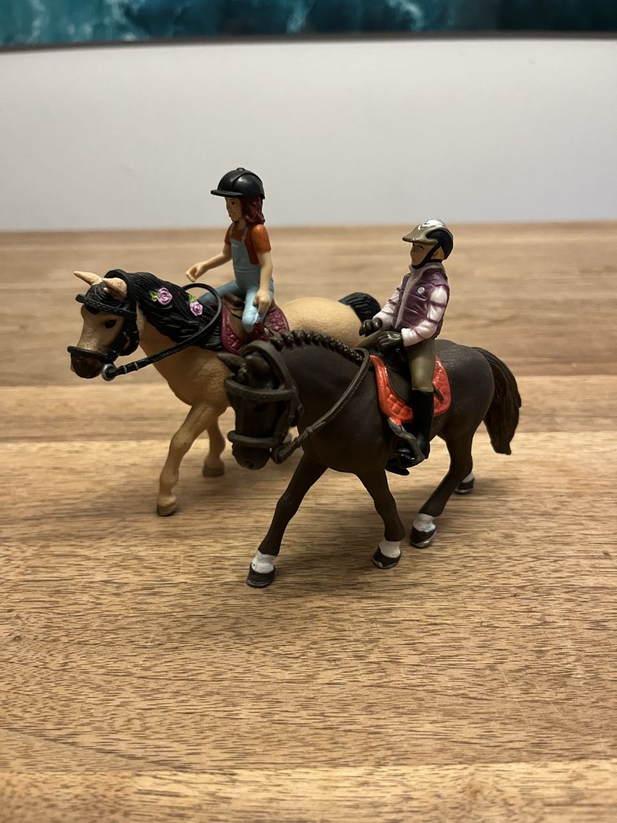 Schleich Giocattoli: Ponyset zu verkaufen – Usato da Weesen venduto da D0101D 1