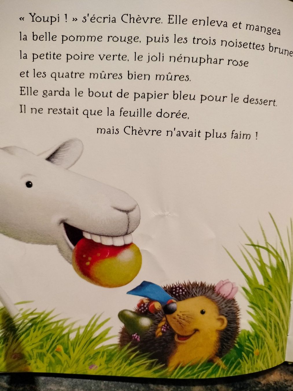 Bücher: La piquante aventure de hérisson – Gebraucht aus Cortaillod von rozinna 9