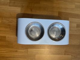 Designer Dog food bowls for medium sized dog