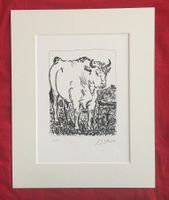 Pablo Picasso   Buffon Zyklus   "Le Boeuf"    Lithographie