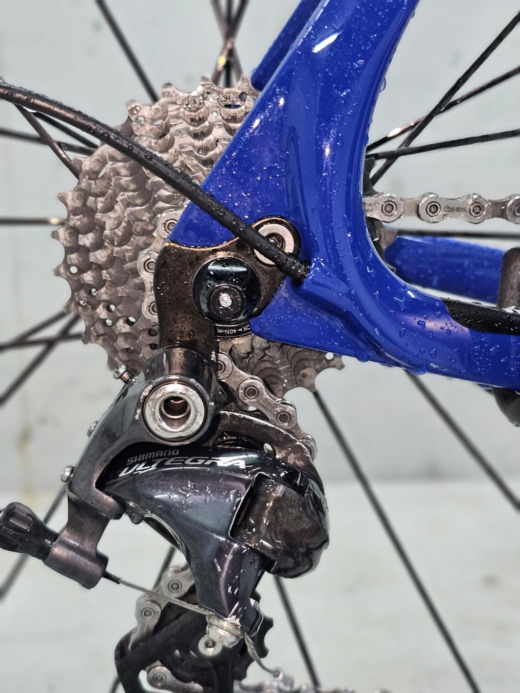 Biciclette: CKT-Rennrad blau, Carbon – Usato da Balsthal venduto da Katzundmaus 2