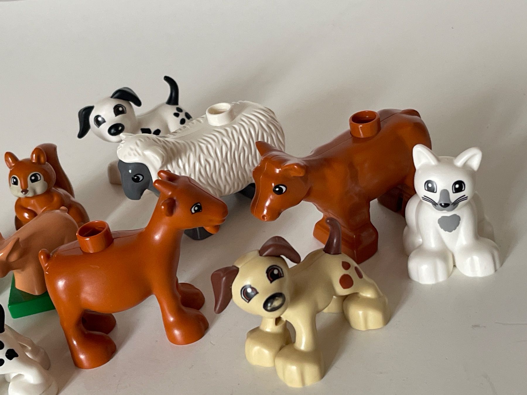 Lego Giocattoli: LEGO DUPLO 10 Diverse Tiere – Usato da Gelterkinden venduto da cobra0110 2