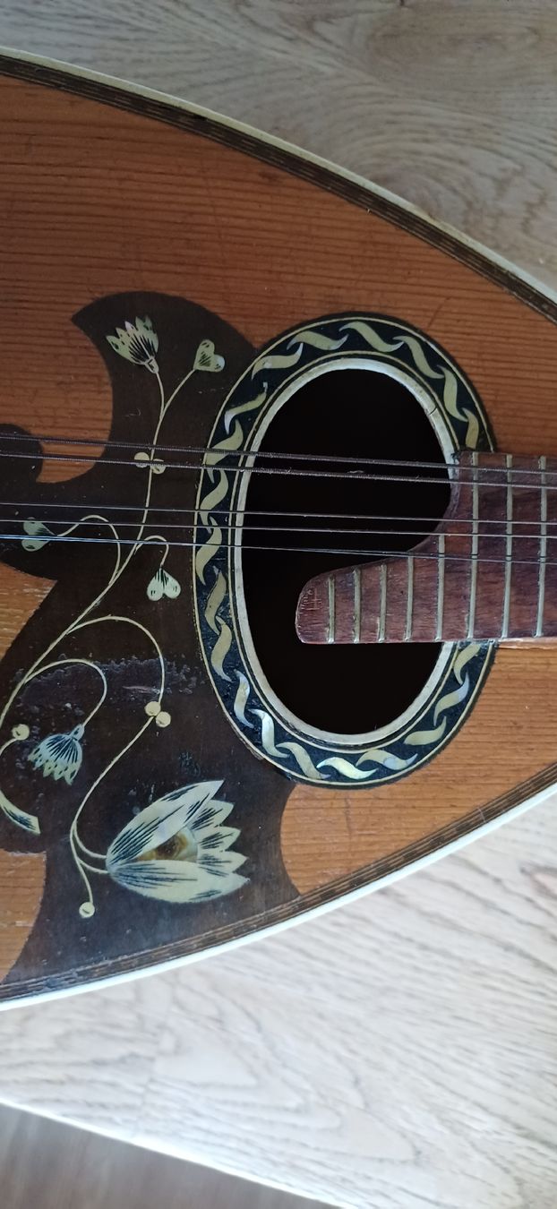 Strumenti musicali: Antike Mandoline Willhelm Kruse – Usato da Flawil venduto da Pinkmalibu 3