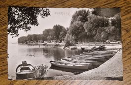 Colombier 1956