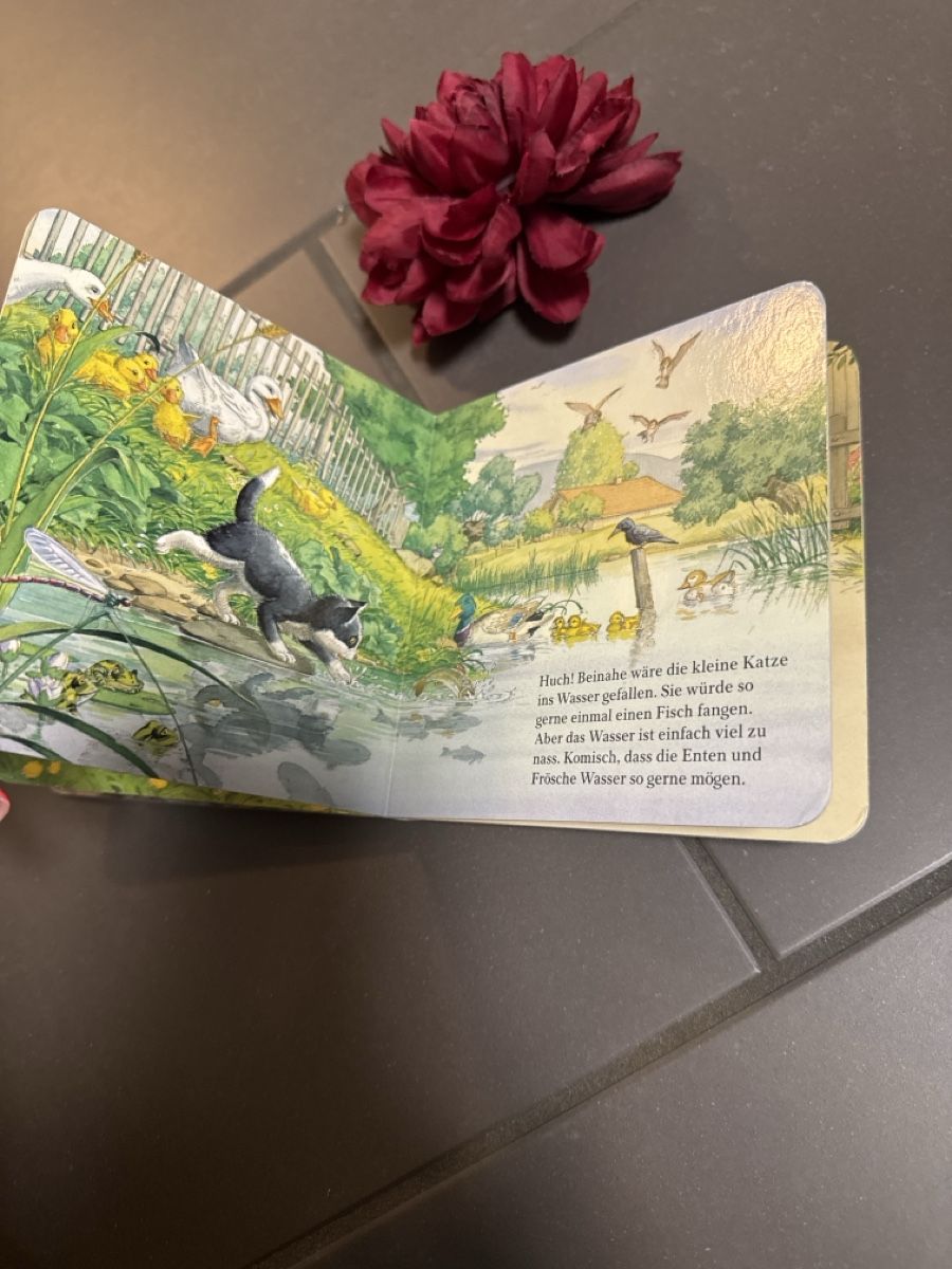 Libri: Was machst du, kleine Katze Kinderbuch – Usato da Zürich venduto da Belisimo 3