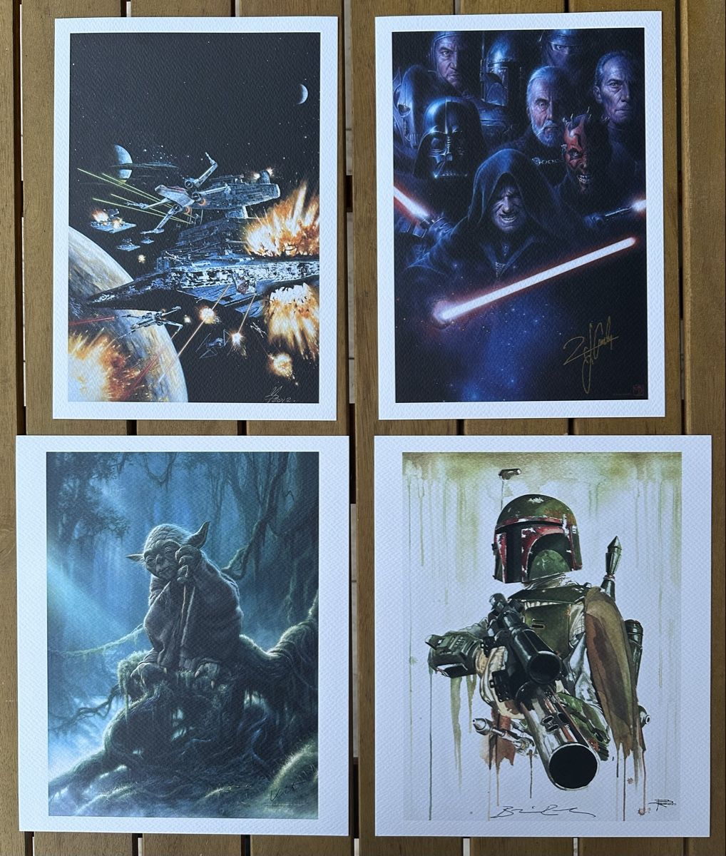 Libri: Livre Star Wars limited édition 341/400 – Nuovo (secondo la descrizione) da Sion venduto da BricEnBroc 1