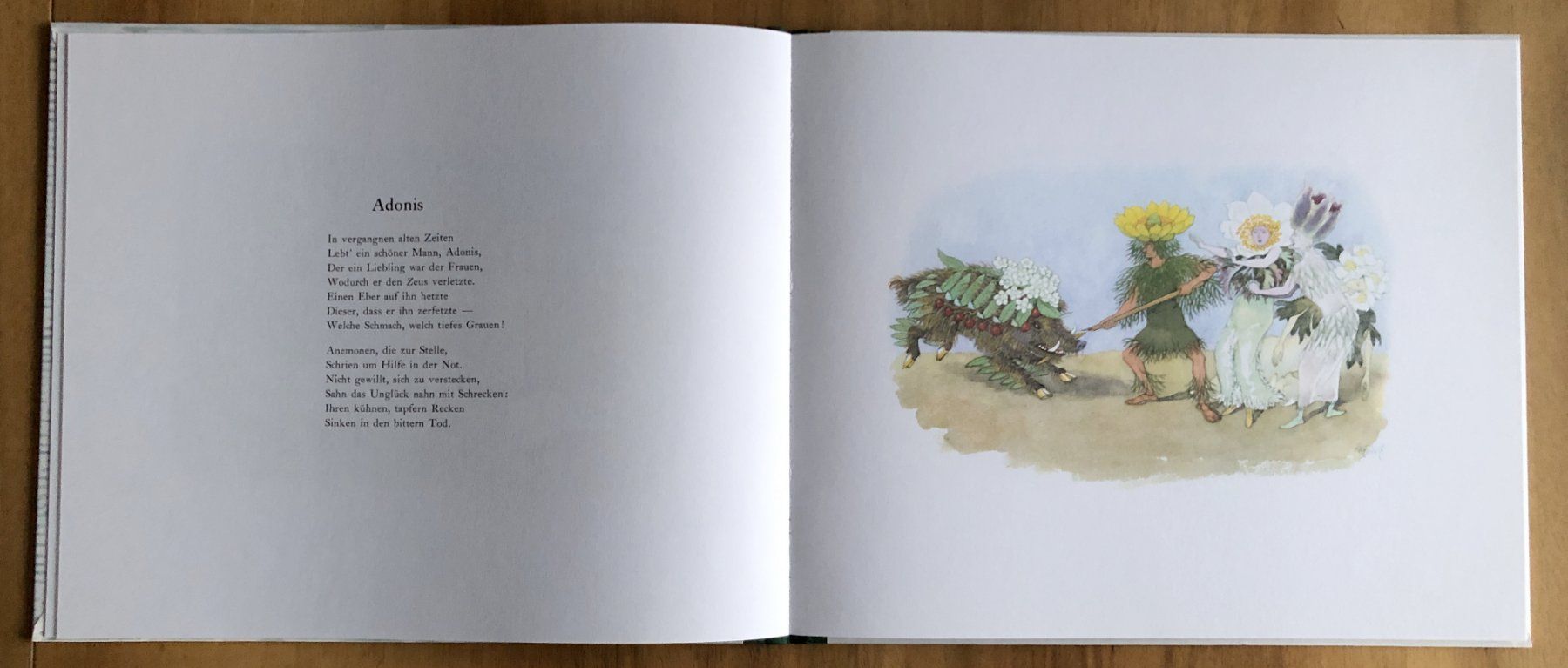 Libri: Kinderbuch "Alpenblumenmärchen" – Usato da Starrkirch-Wil venduto da heidiml 1