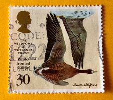 BRIEFMARKEN AUS  Großbritannien GESTEMPELT 
