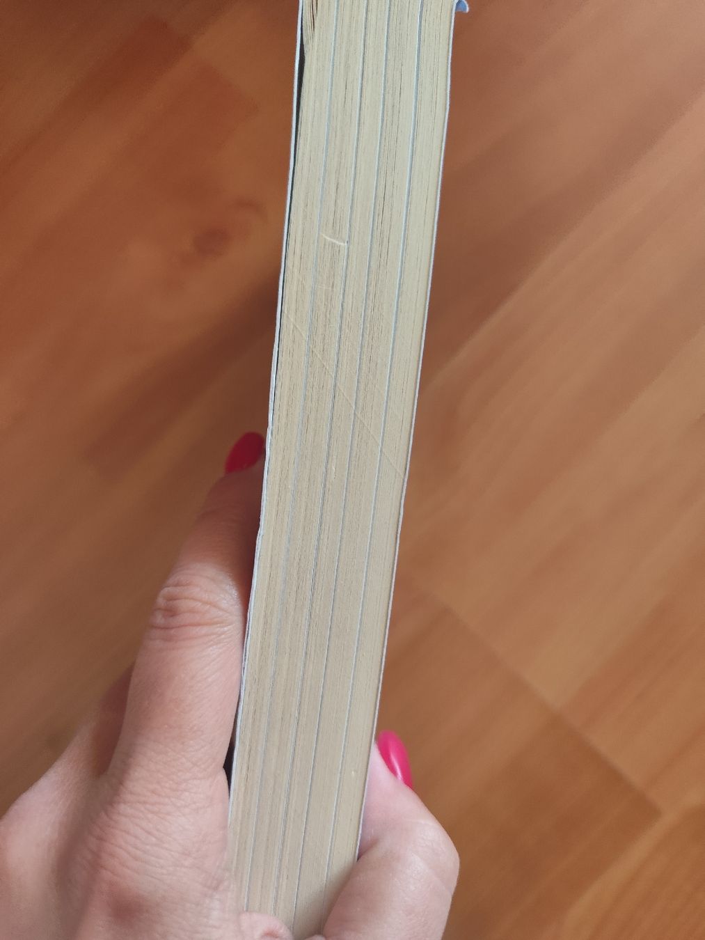 Libri: My Penguin Year Lindsay McCrae  – Usato da Mägenwil venduto da VintageGirly 2