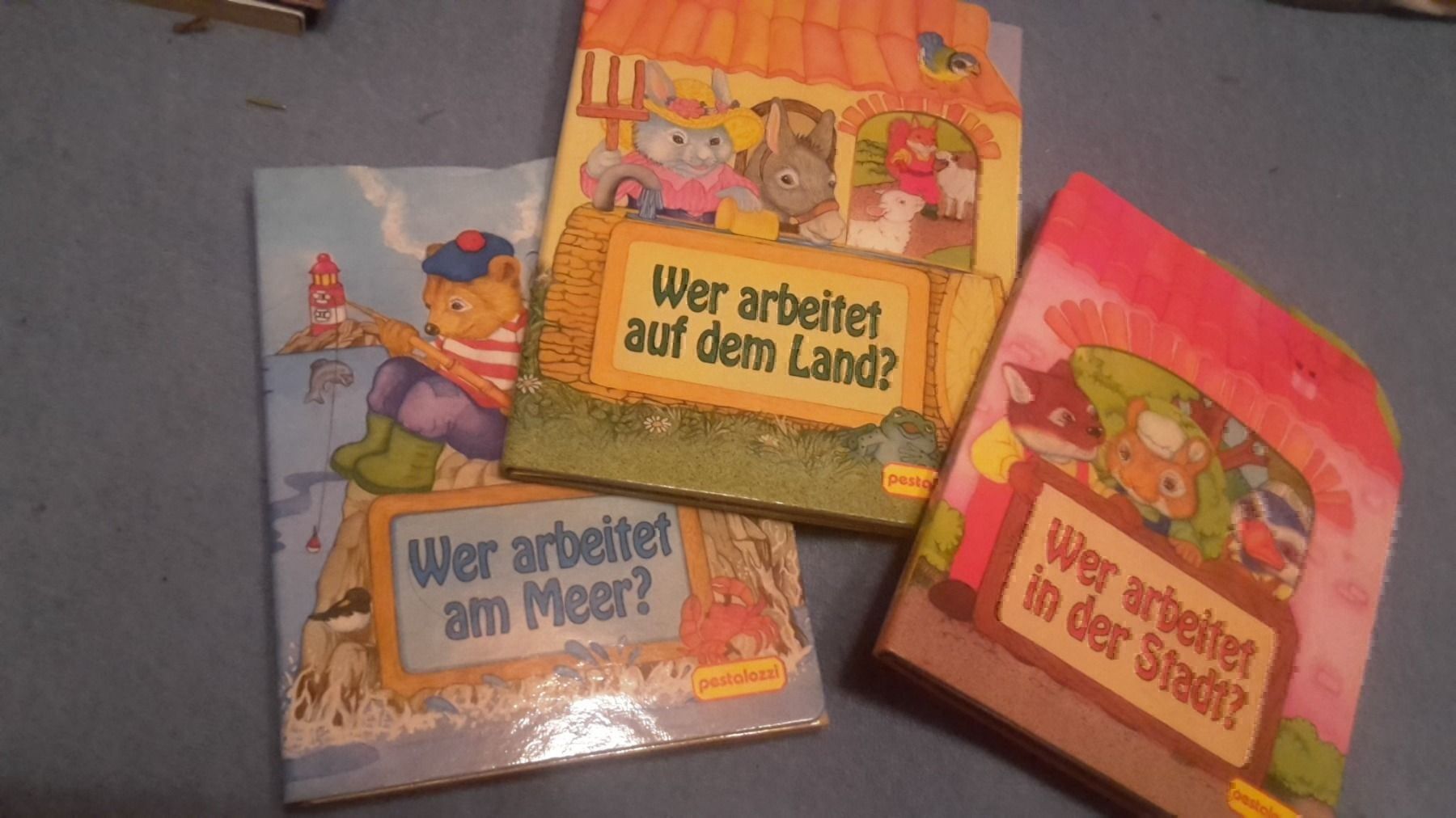 Libri: 4 Leporello Wer arbeitet ? 4 Themen – Nuovo (secondo la descrizione) da Schwarzenburg venduto da Flamingo07 1