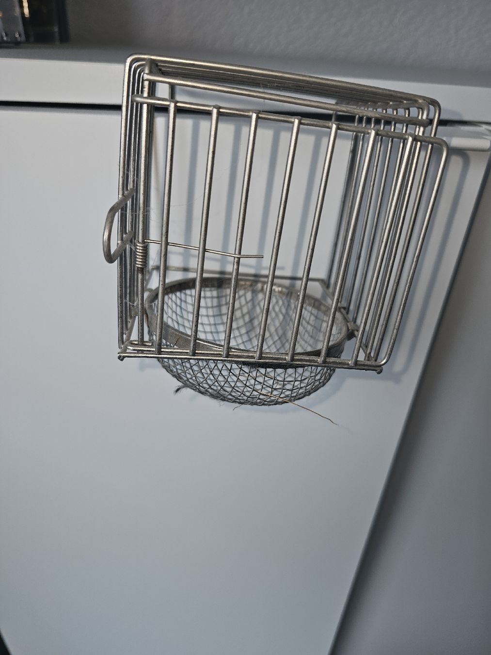 Petites maisons à oiseaux: Vigel Metallnest – Neuf (Voir description) à Langenthal par Timbus 1