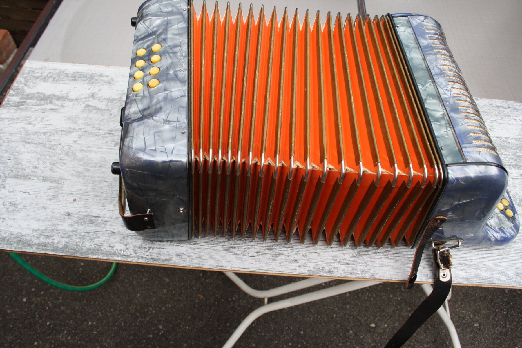 Hohner Strumenti musicali: HOHNER SONORA AKKORDEON HANDORGEL – Usato da Wauwil venduto da Pneuedy 6