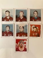Fussballsammelbilder Sanagol Football Gum 1968/69