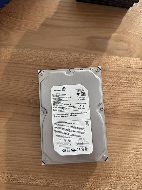 Dischi rigidi: Seagate 250 GB HDD – Usato da Grenchen venduto da Strassenschild_9