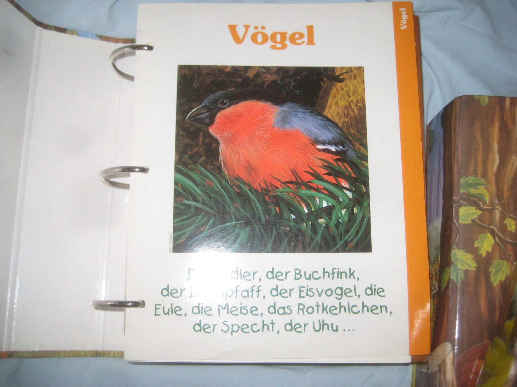 Livres: KINDER  NATUR  ORTNER – Neuf (Voir description) à Uster par flocke1 5