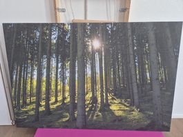 Fotobild vom Hunsrückerwald, Deutschland