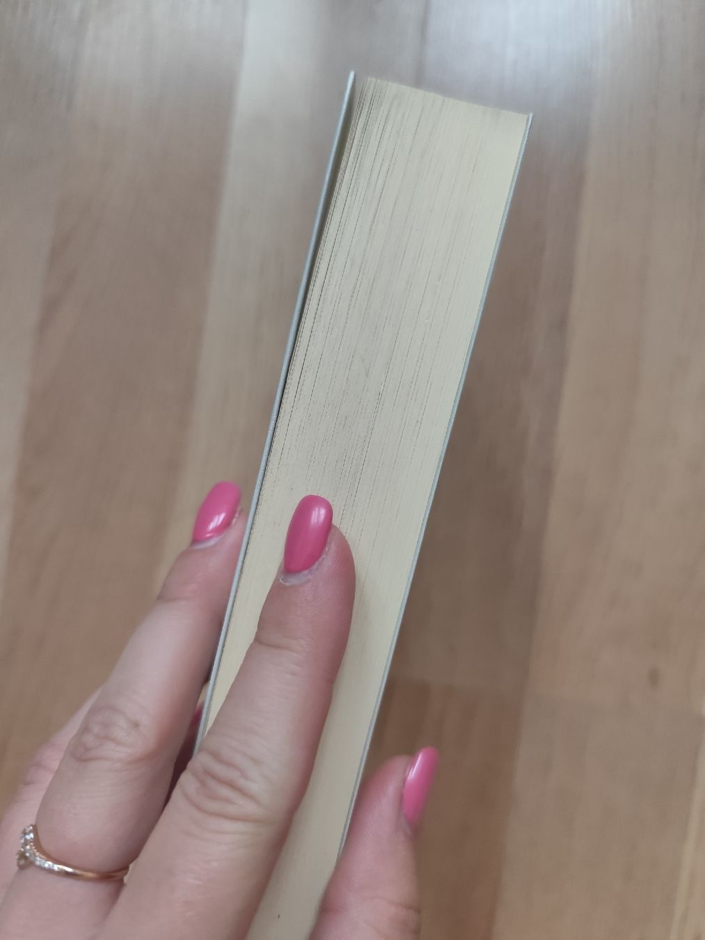 Libri: Daniel Mendelssohn Eine Odyssee – Usato da Mägenwil venduto da VintageGirly 2