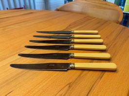 6 Tafelmesser mit Horngriff