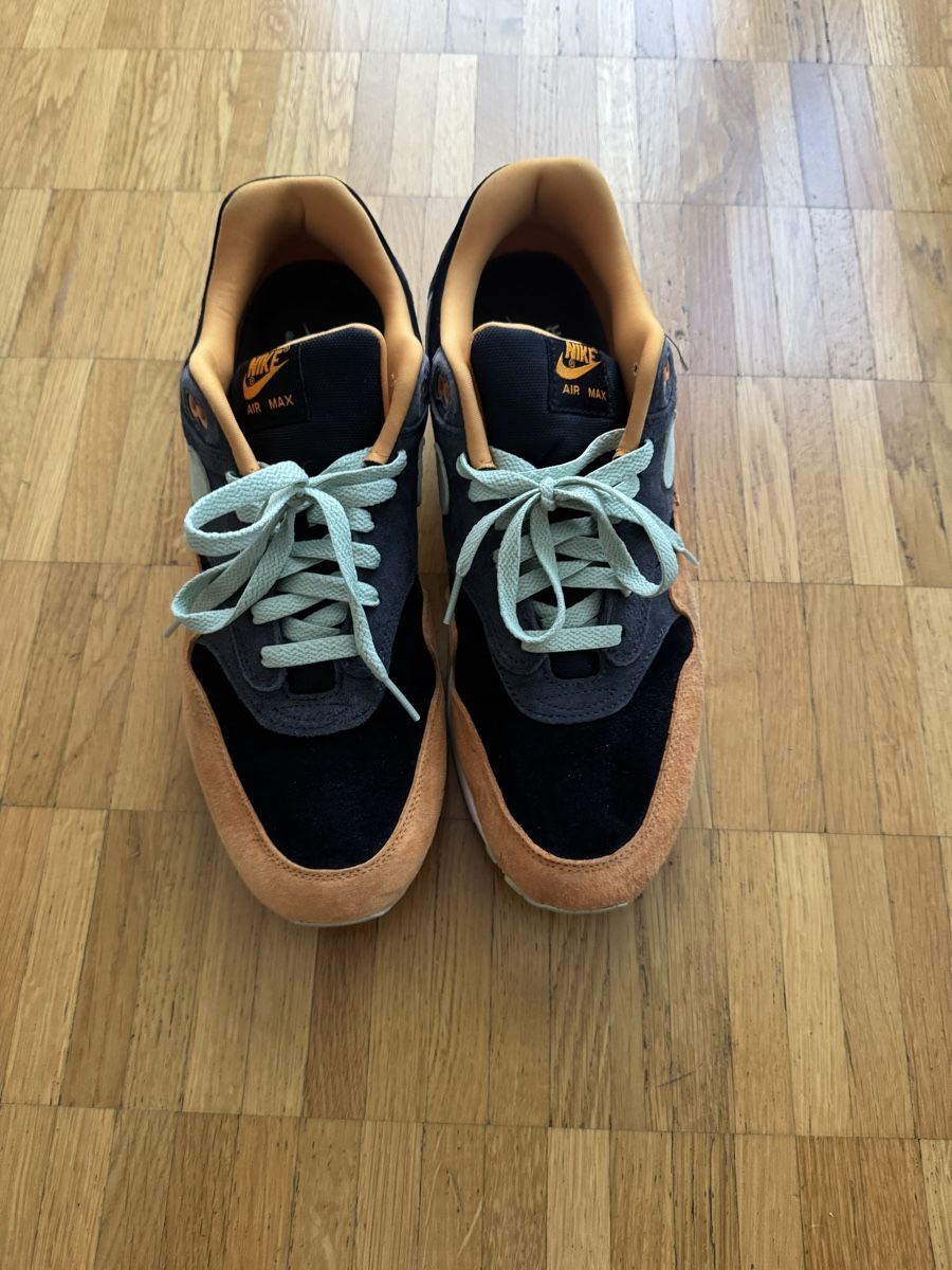 Nike Herrenschuhe: Nike Air Max 1 PRM Duck, 45.5 – Gebraucht aus Zürich von And1_G 1