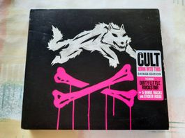 CD Cult - Born into this