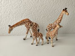 Schleich Giraffe Rarität Wild Life Zoo Familie Sammlung 1998