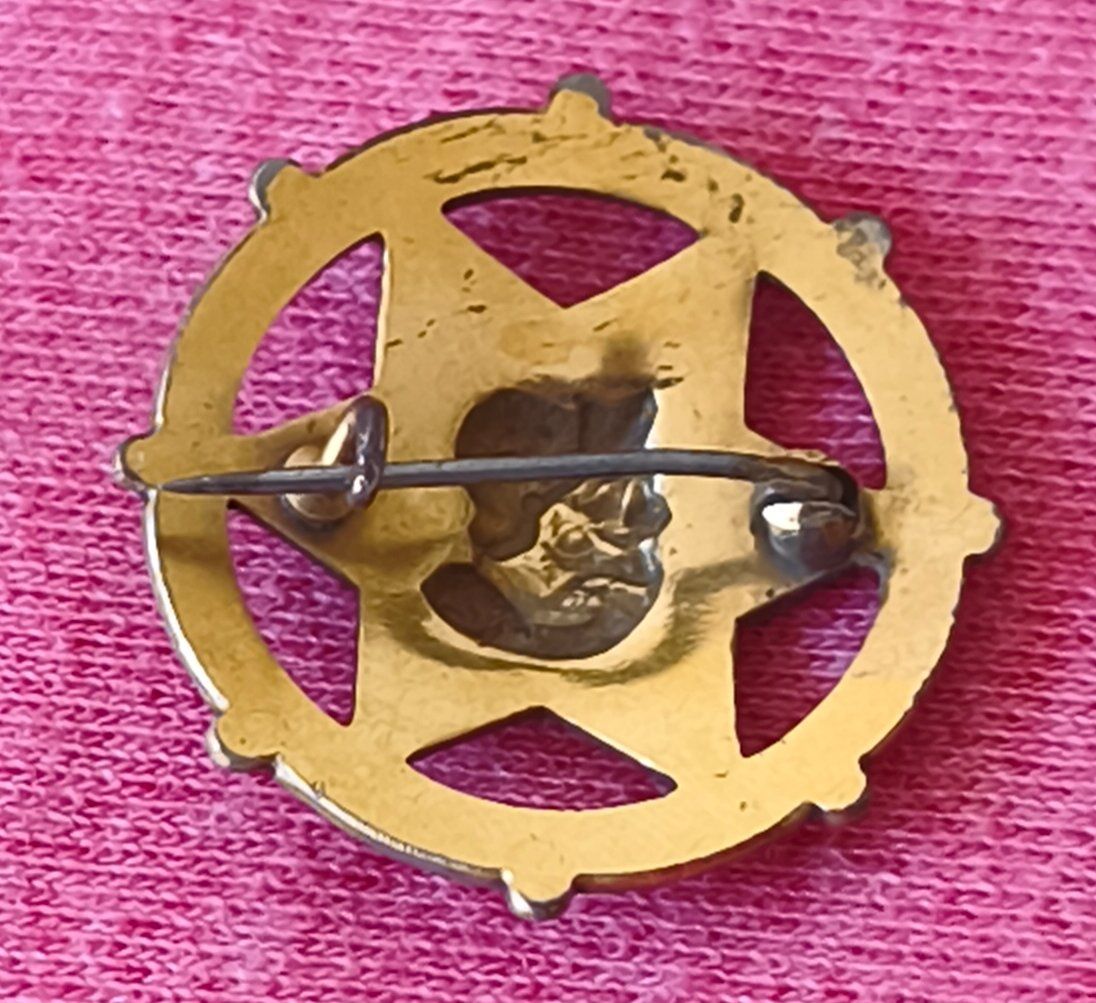 Placchette & Badge: Vereins- oder Festorden, historisches Abzeichen in Sternform – Usato da Zürich venduto da Tanteemma369 8