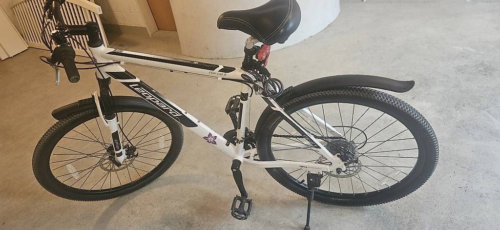 Biciclette: Mountainbike 26 Zoll – Usato da Hirschthal venduto da Karinmogli 4