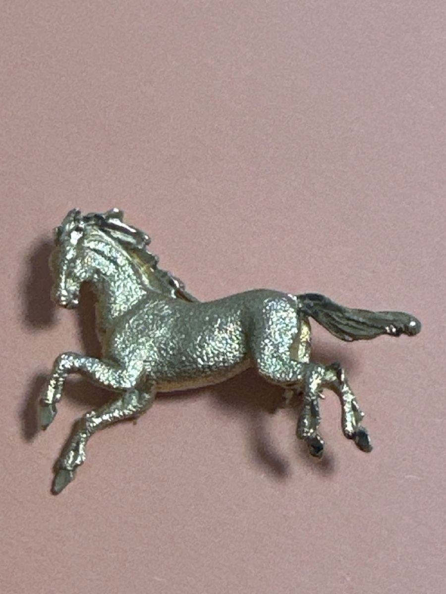 Spille & Fermagli: Broche en argent 925 – Usato da Montreux venduto da Pipo7878