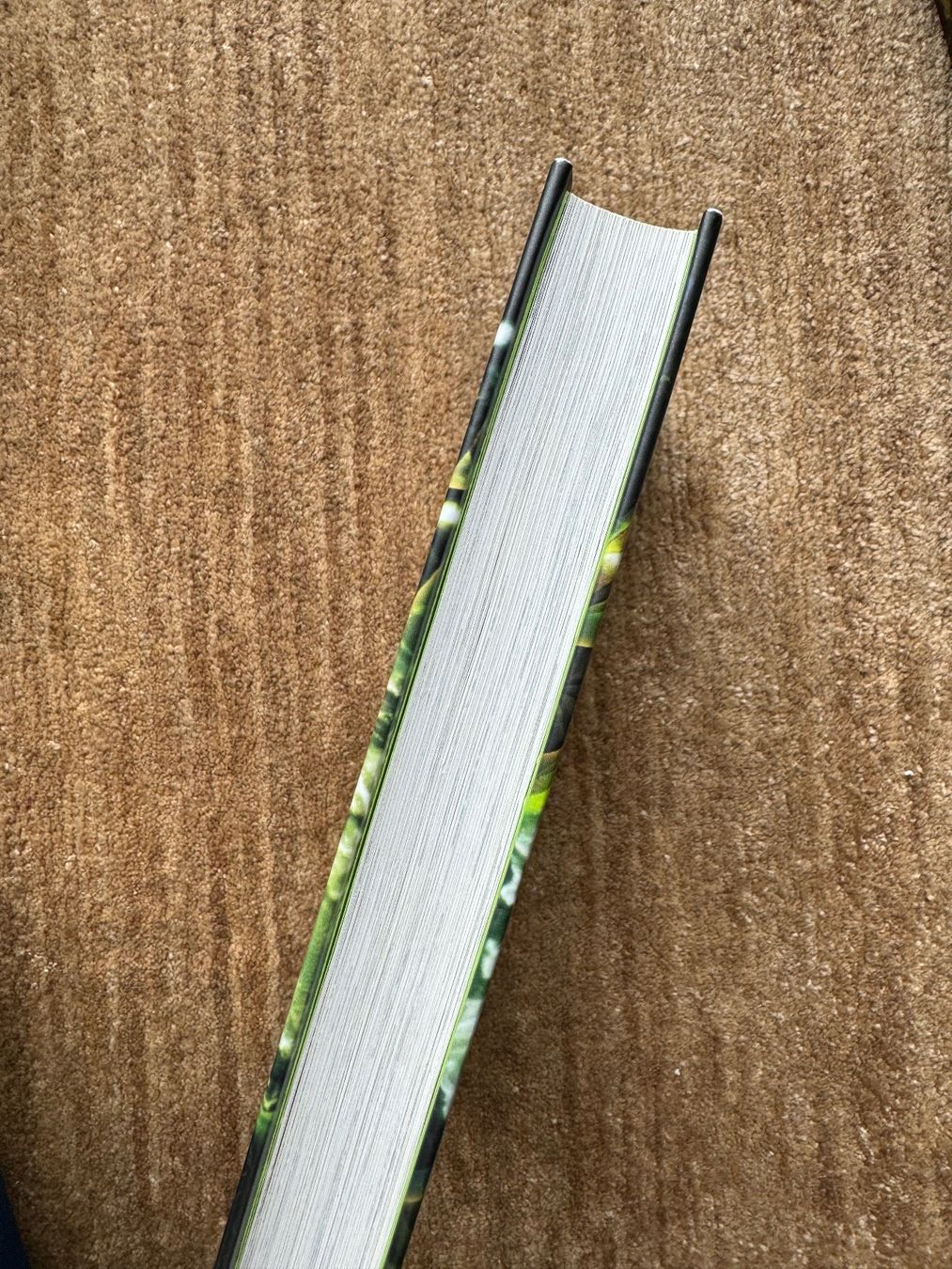 Bücher: Seawalkers  - Wilde Wellen – Neu (gemäss Beschreibung) aus Aarau von Kilauea 2